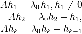 \begin{array}{rcl}Ah_1=\lambda_0h_1, h_1\ne 0 \\ Ah_2=\lambda_0h_2+h_1,\\ Ah_k=\lambda_0h_k+h_{k-1}\end{array}